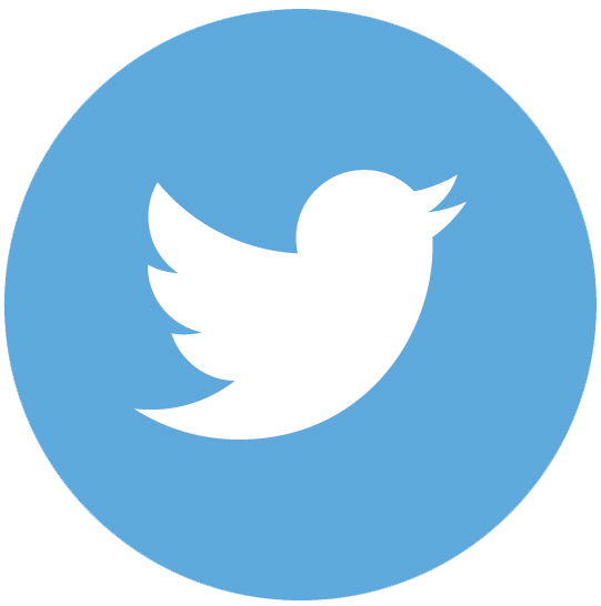 Twitter Icon